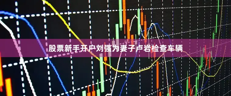 股票新手开户刘强为妻子卢岩检查车辆