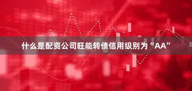 什么是配资公司旺能转债信用级别为“AA”