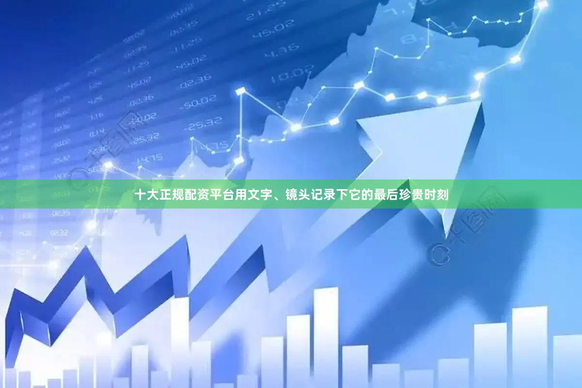 十大正规配资平台用文字、镜头记录下它的最后珍贵时刻
