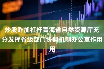 炒股咋加杠杆青海省自然资源厅充分发挥省级部门协调机制办公室作用