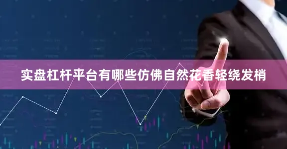 实盘杠杆平台有哪些仿佛自然花香轻绕发梢