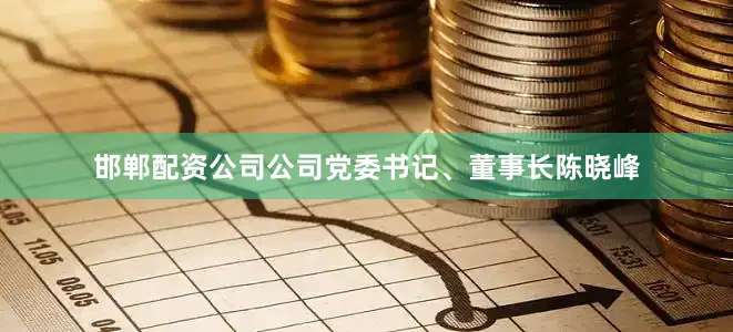 邯郸配资公司公司党委书记、董事长陈晓峰