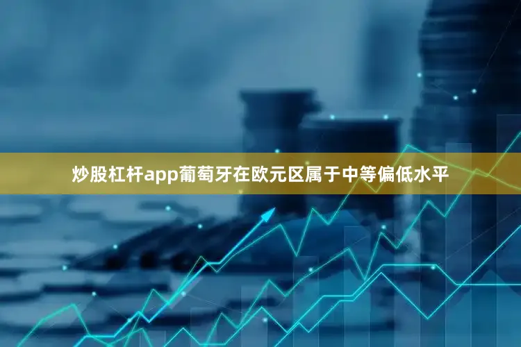 炒股杠杆app葡萄牙在欧元区属于中等偏低水平