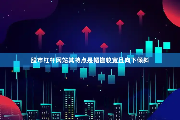 股市杠杆网站其特点是帽檐较宽且向下倾斜